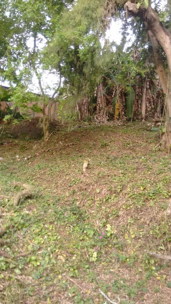 Terreno, 2506 m² - Foto 3