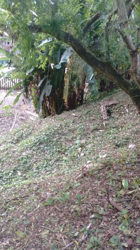 Terreno, 2506 m² - Foto 2