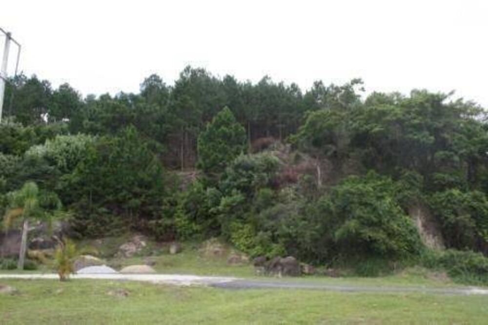 Terreno, 2 hectares - Foto 7
