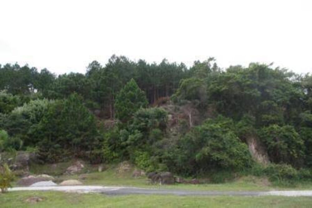 Terreno, 2 hectares - Foto 1
