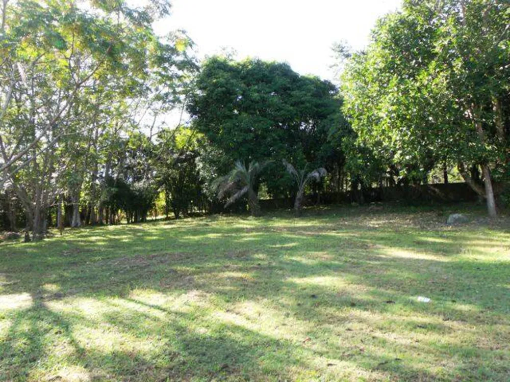 Terreno - Foto 2