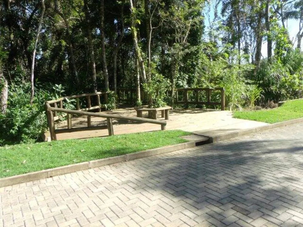Terreno - Foto 5