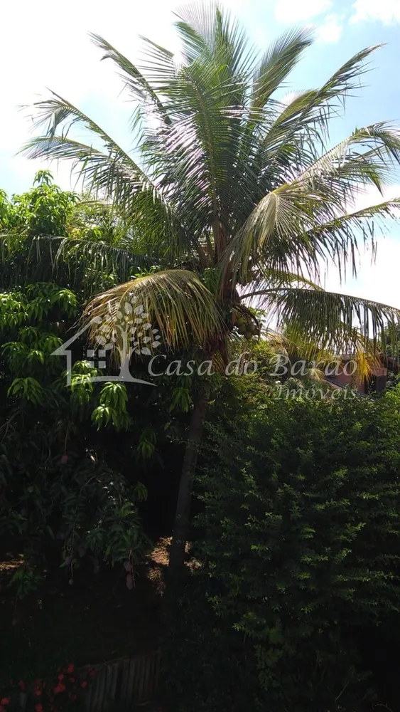 Casa, 5 quartos, 340 m² - Foto 9