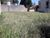 Terreno, 450 m² - Foto 4