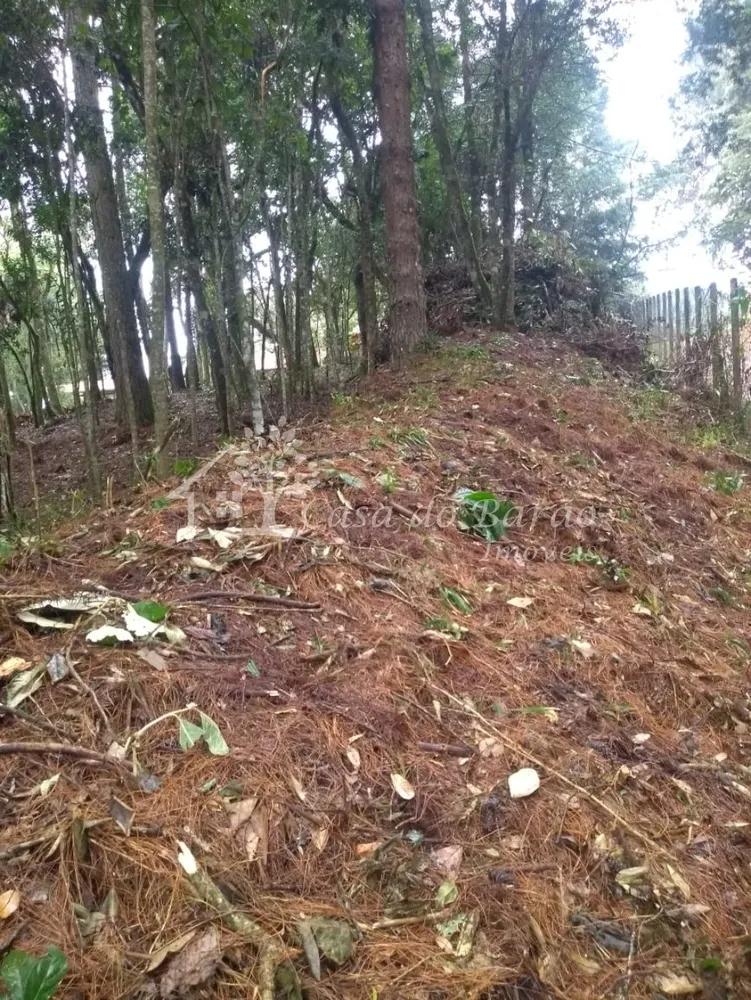 Terreno, 763 m² - Foto 1