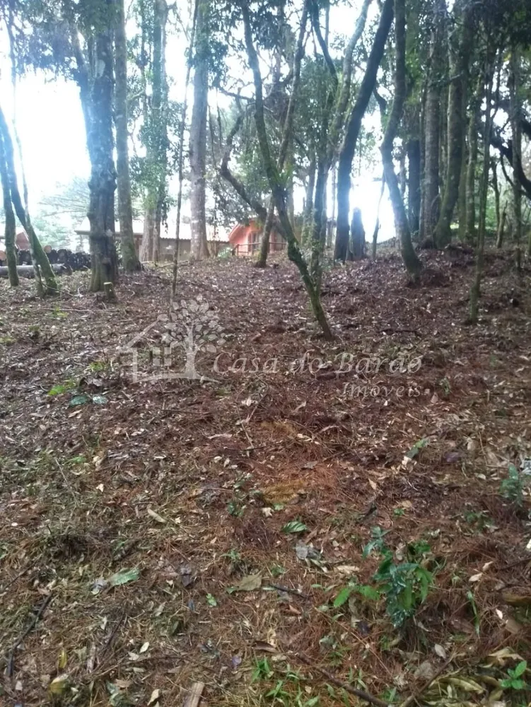 Terreno, 763 m² - Foto 2