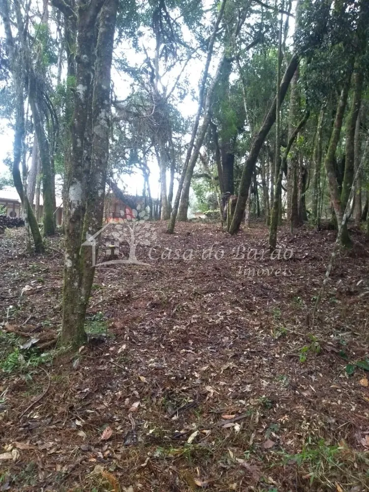 Terreno, 763 m² - Foto 3