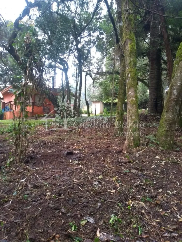 Terreno, 763 m² - Foto 2