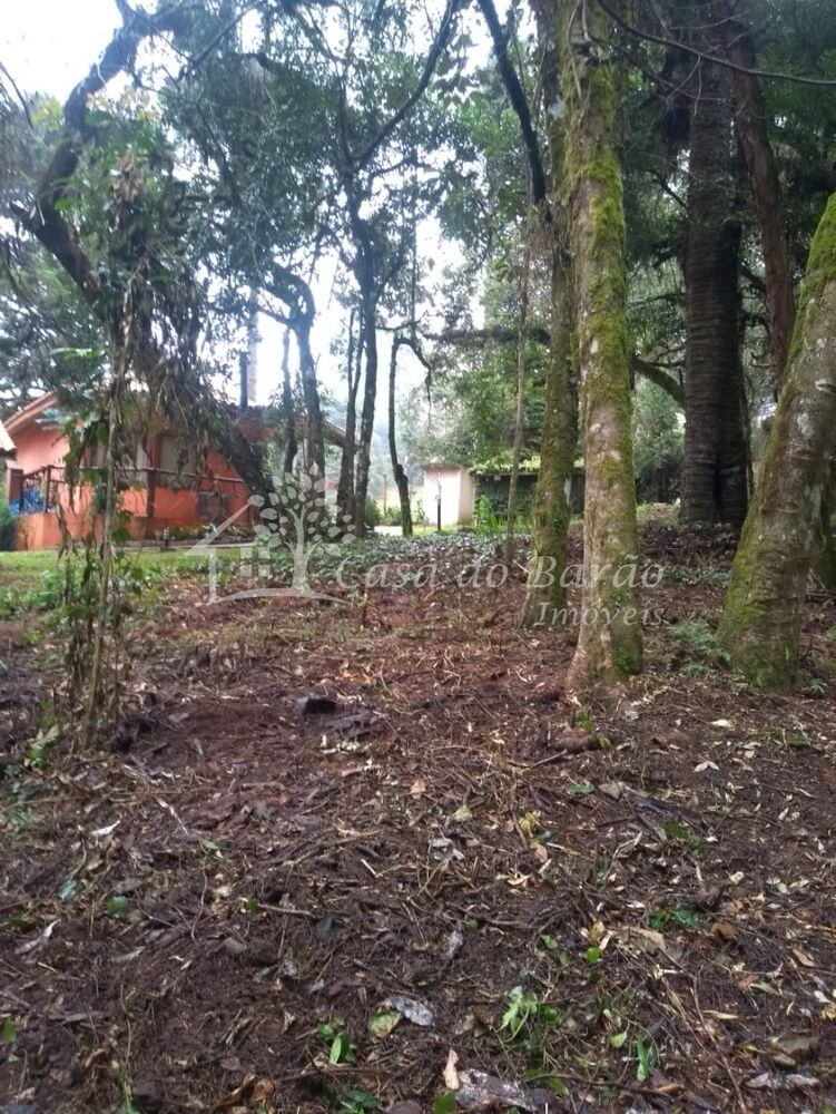 Terreno, 763 m² - Foto 2