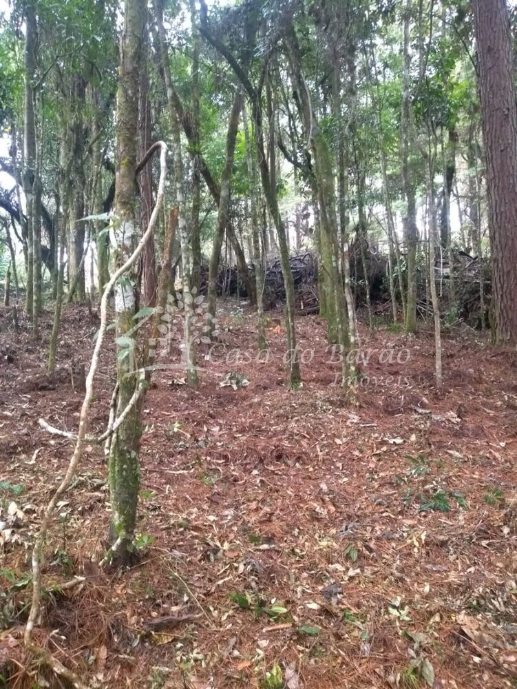 Terreno, 763 m² - Foto 3