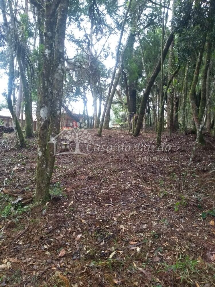 Terreno, 763 m² - Foto 4