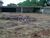 Terreno, 450 m² - Foto 3
