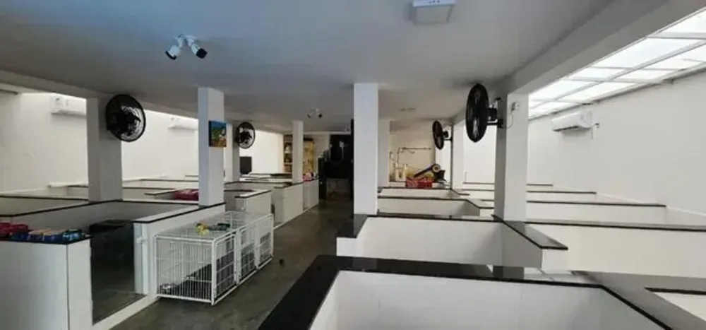 Casa, 4 quartos, 500 m² - Foto 14