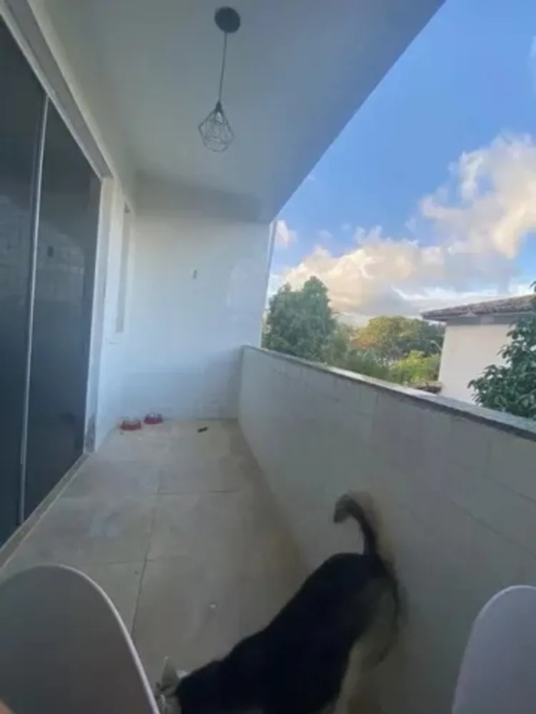 Cobertura, 3 quartos, 200 m² - Foto 3