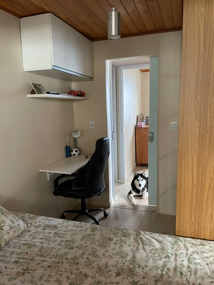 Casa, 3 quartos, 200 m² - Foto 4
