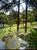 Chácara, 3 quartos, 3 hectares - Foto 1