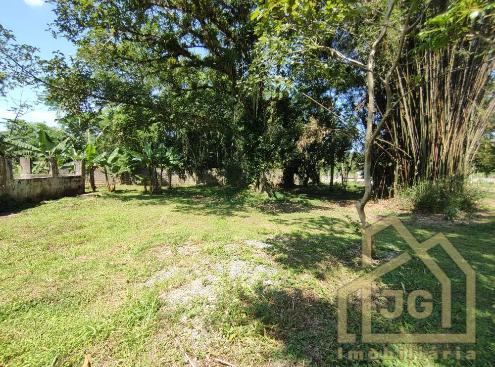 Chácara, 3 quartos, 2 hectares - Foto 6