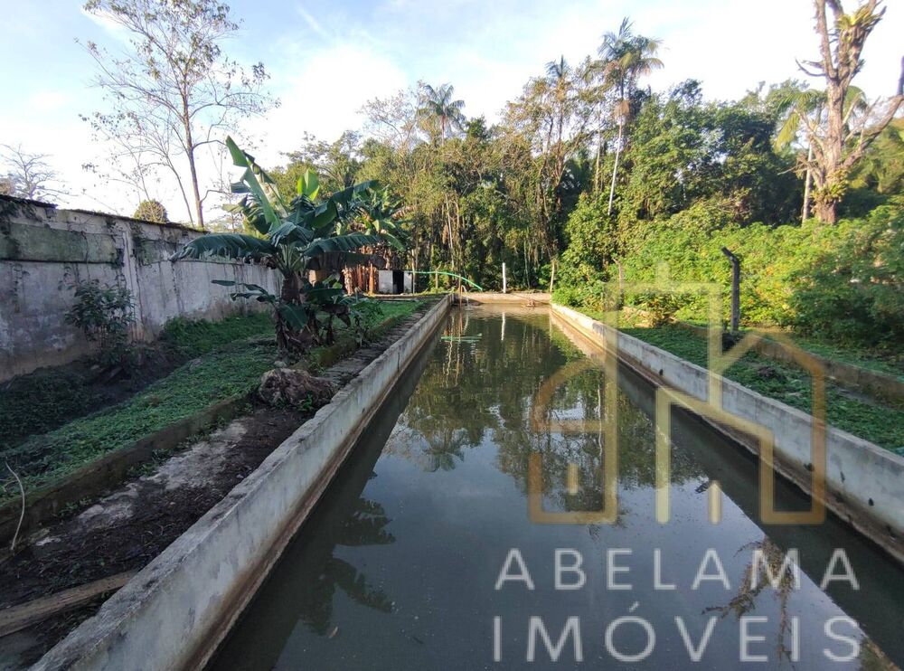 Chácara, 3 quartos, 2 hectares - Foto 3
