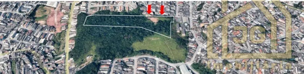 Terreno, 2 hectares - Foto 3