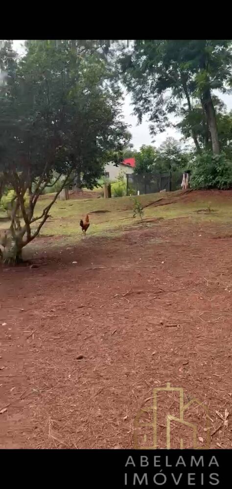 Chácara, 3 quartos, 1 hectares - Foto 3