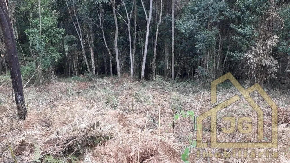 Terreno, 5200 m² - Foto 15