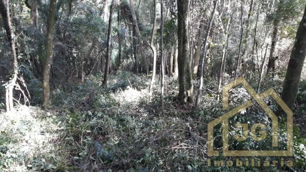 Terreno, 5200 m² - Foto 12