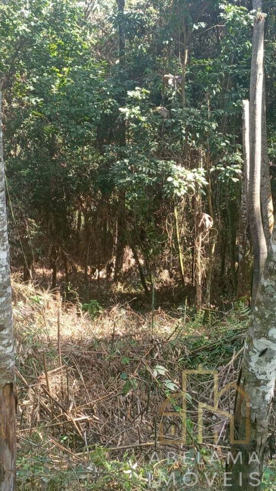 Terreno à venda, 5200m² - Foto 8
