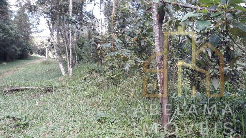 Terreno à venda, 5200m² - Foto 5
