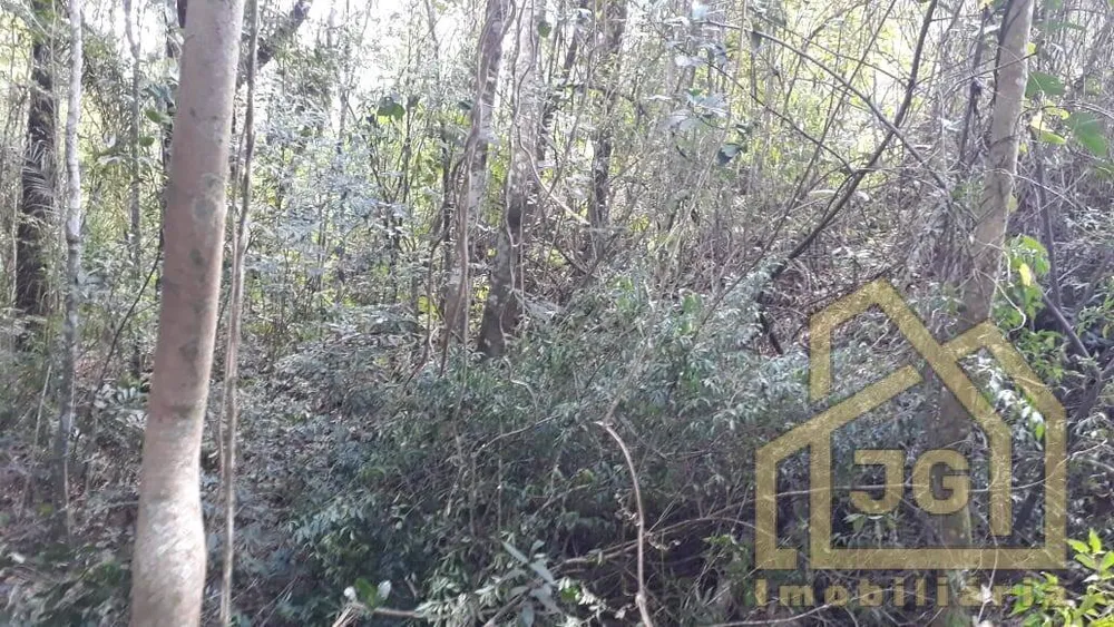 Terreno, 5200 m² - Foto 14