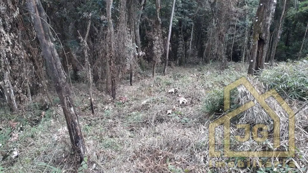 Terreno, 5200 m² - Foto 16