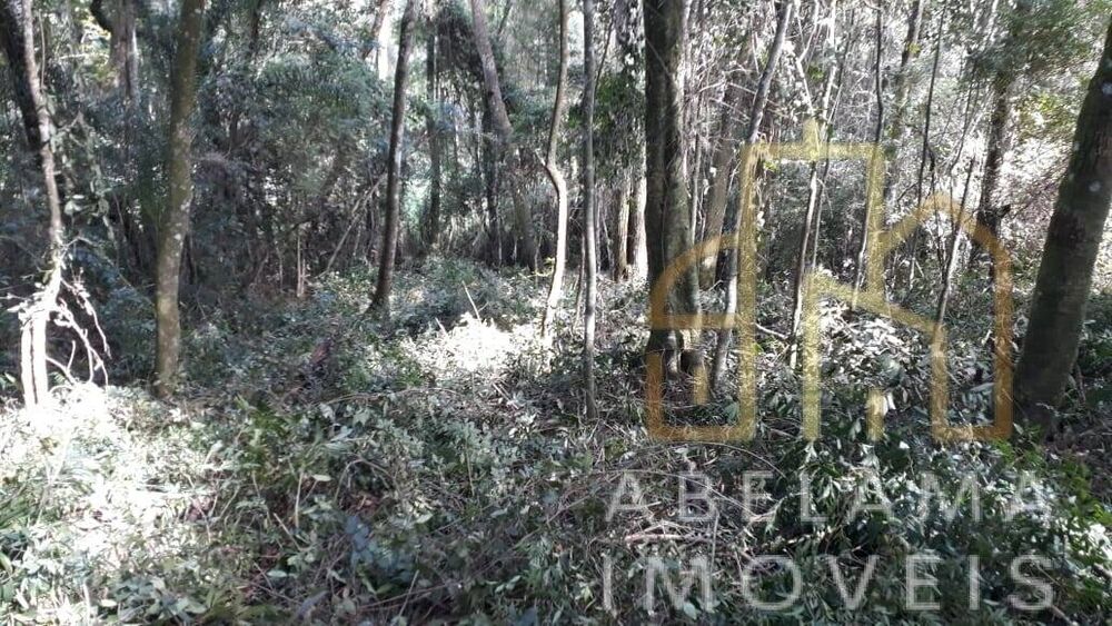 Terreno à venda, 5200m² - Foto 6