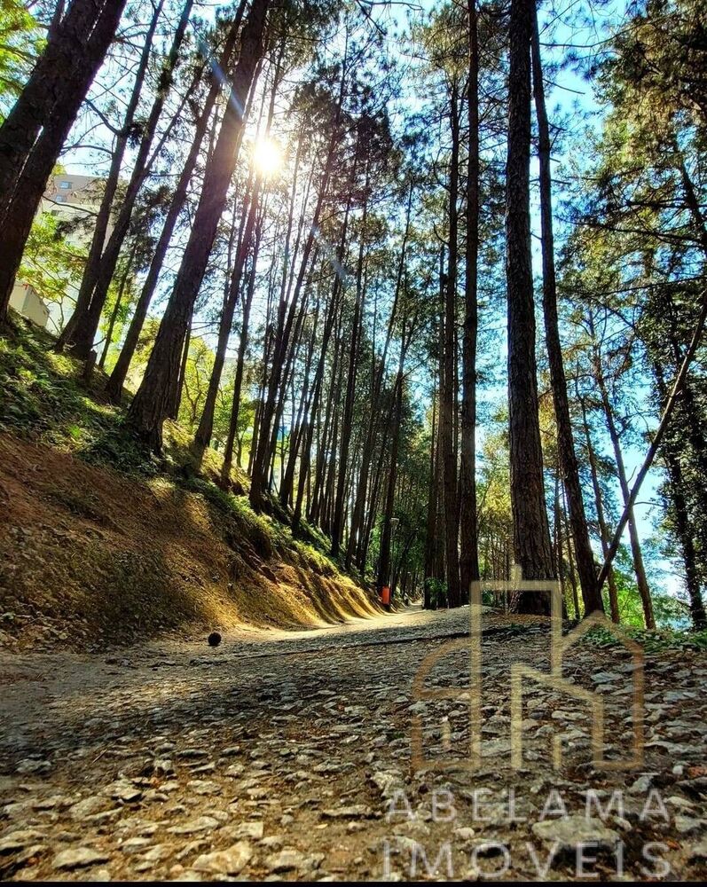 Apartamento, 2 quartos, 50 m² - Foto 14