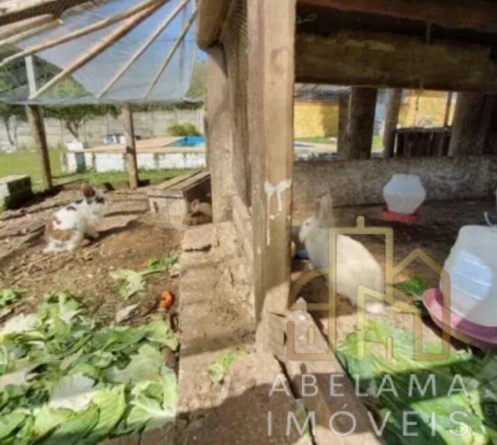Chácara à venda com 2 quartos, 4250m² - Foto 3