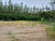 Terreno, 7315 m² - Foto 2