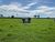 Fazenda-Sítio-Chácara - Foto 4