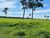 Fazenda-Sítio-Chácara - Foto 2