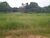 Fazenda-Sítio-Chácara - Foto 2