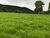 Fazenda-Sítio-Chácara - Foto 2
