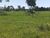 Fazenda-Sítio-Chácara - Foto 3
