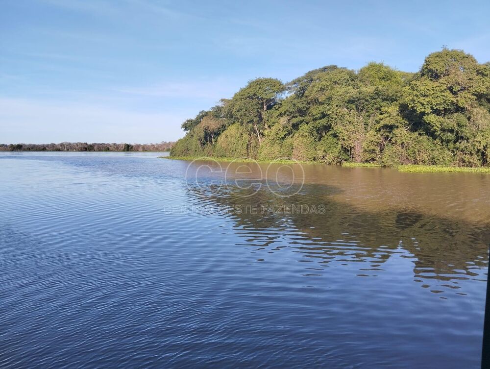 Fazenda à venda - Foto 4