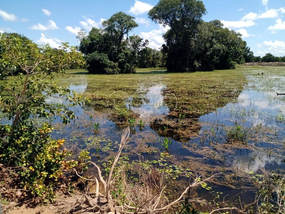 Fazenda à venda - Foto 2