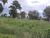 Fazenda-Sítio-Chácara - Foto 1