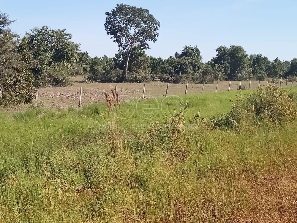 Fazenda à venda - Foto 6