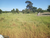 Fazenda-Sítio-Chácara - Foto 4