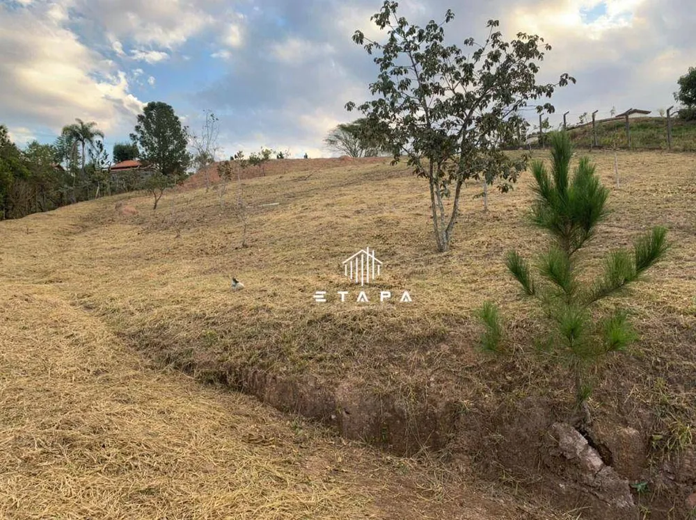 Terreno, 2699 m² - Foto 5