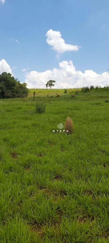 Terreno, 10 hectares - Foto 8