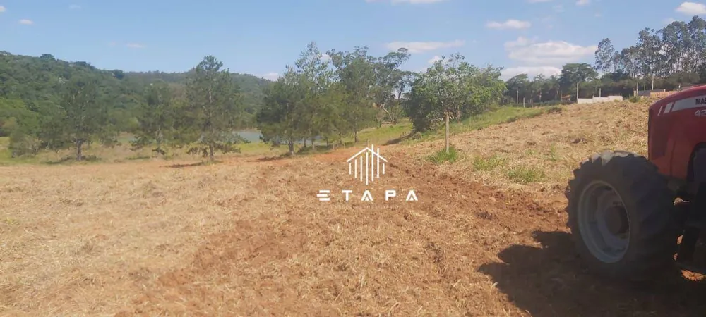 Terreno, 10 hectares - Foto 7