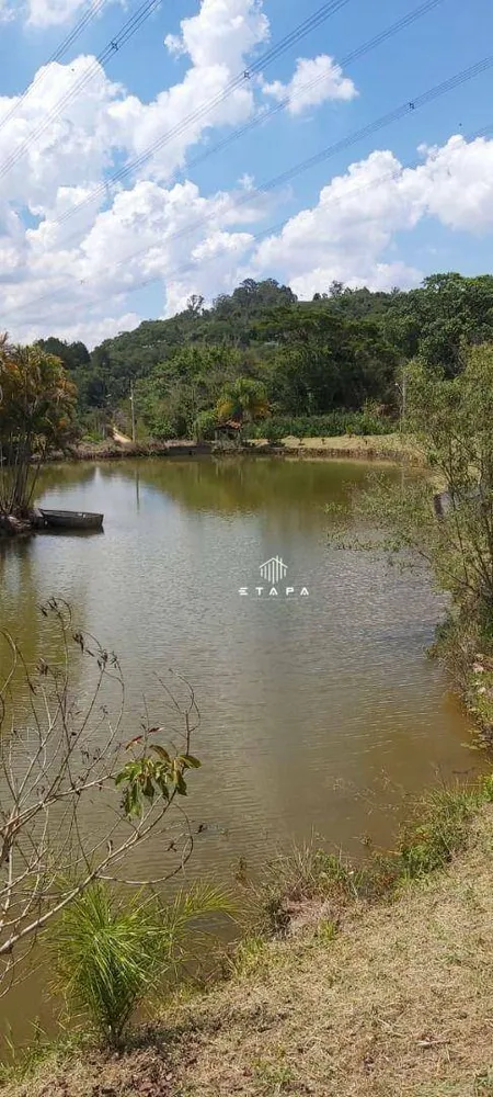 Terreno, 10 hectares - Foto 12