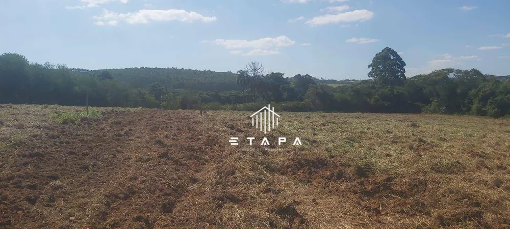 Terreno, 10 hectares - Foto 10