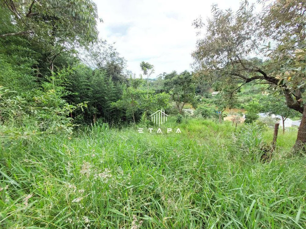 Terreno, 728 m² - Foto 6
